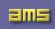 American Management System