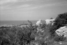 [Bild]