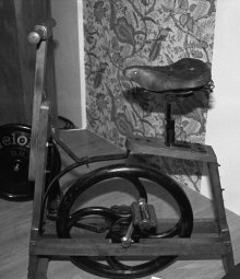 [Bild]