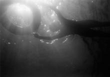 [Bild]